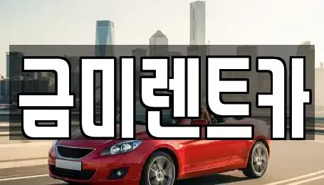 서울 종로구 혜화동 렌트카 전문 금미렌트카