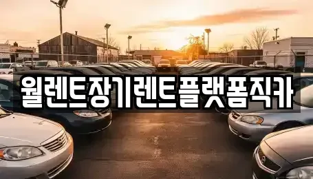 서울 종로구 혜화동 장기렌트카 전문 월렌트장기렌트플랫폼직카