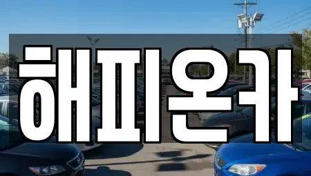 서울 중구 광희동1가 중고차매매 전문 해피온카