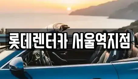 서울 중구 남창동 렌트카 전문 롯데렌터카 서울역지점