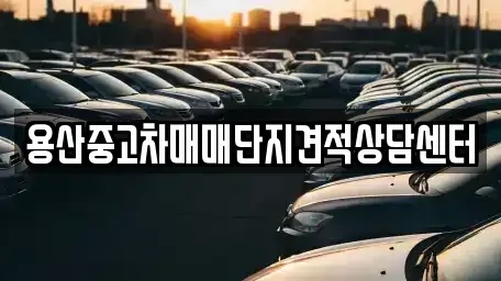 서울 중구 남창동 중고차매매 전문 용산중고차매매단지견적상담센터