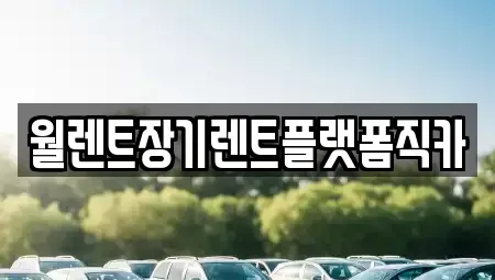 서울 중구 방산동 장기렌트카 전문 월렌트장기렌트플랫폼직카