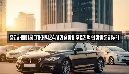 서울 중구 방산동 중고차매입 전문 중고차매매최고가매입24시간출장비무료견적현장방문지누카