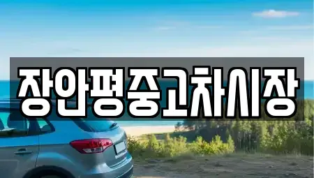 서울 중구 봉래동2가 중고차매매 전문 장안평중고차시장