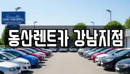 서울특별시 강남구 렌트카 전문 동산렌트카 강남지점