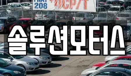 서울특별시 강남구 렌트카 전문 솔루션모터스