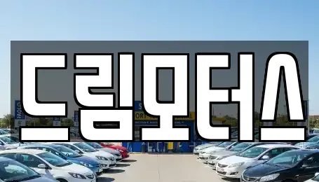서울특별시 강남구 중고차매매 전문 드림모터스