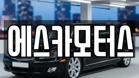 서울특별시 강남구 중고차매매 전문 에스카모터스