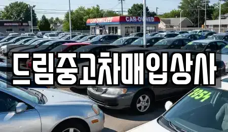 서울특별시 강남구 중고차매입 전문 드림중고차매입상사
