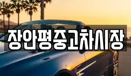 서울특별시 강동구 암사동 중고차 전문 장안평중고차시장