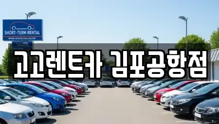 서울특별시 강서구 오쇠동 렌트카 전문 고고렌트카 김포공항점