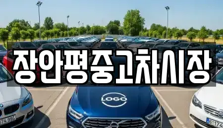 서울특별시 강서구 오쇠동 중고차 전문 장안평중고차시장
