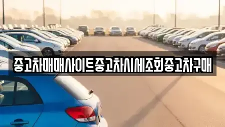 서울특별시 강서구 오쇠동 중고차 전문 중고차매매사이트중고차시세조회중고차구매