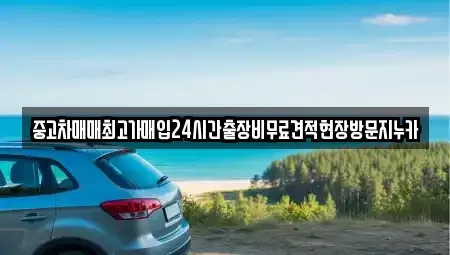 서울특별시 강서구 오쇠동 중고차매입 전문 중고차매매최고가매입24시간출장비무료견적현장방문지누카