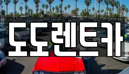 서울특별시 동대문구 장안동 렌트카 전문 도도렌트카