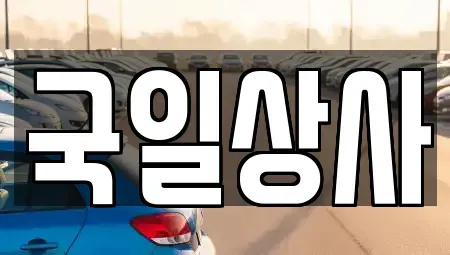 서울특별시 동대문구 장안동 중고차 전문 국일상사