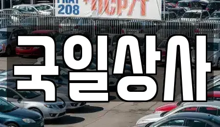 서울특별시 동대문구 장안동 중고차매매 전문 국일상사