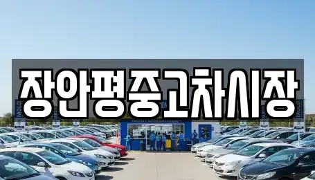 서울특별시 동대문구 장안동 중고차매매 전문 장안평중고차시장