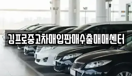 서울특별시 동대문구 장안동 중고차매입 전문 김프로중고차매입판매수출매매센터
