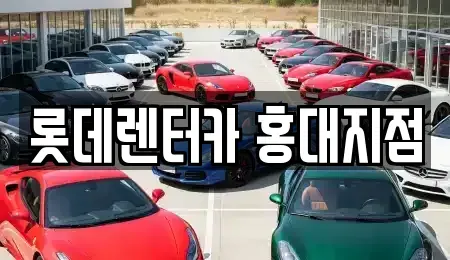 서울특별시 마포구 성산동 단기렌트카 전문 롯데렌터카 홍대지점