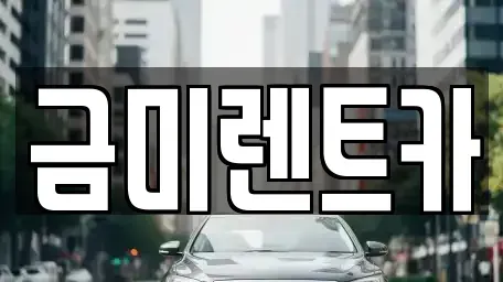 서울특별시 마포구 성산동 렌트카 전문 금미렌트카