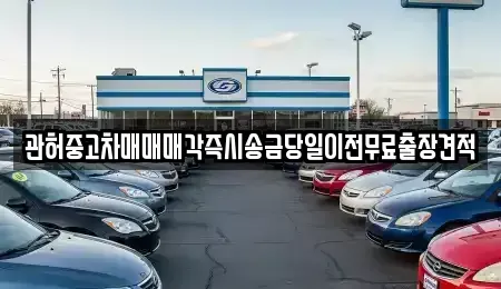 서울특별시 마포구 성산동 중고차 전문 관허중고차매매매각즉시송금당일이전무료출장견적