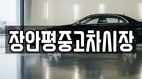서울특별시 마포구 성산동 중고차 전문 장안평중고차시장