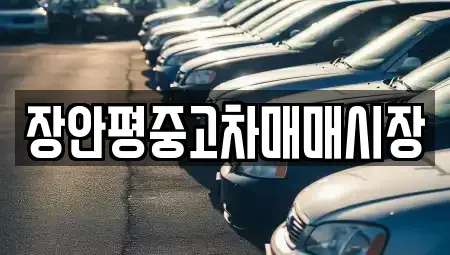 서울특별시 마포구 성산동 중고차매매 전문 장안평중고차매매시장