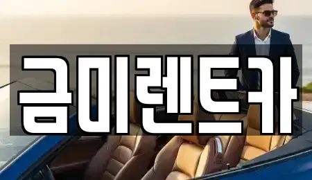 서울특별시 마포구 아현동 렌트카 전문 금미렌트카