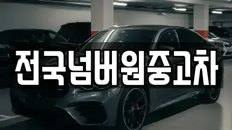 서울특별시 마포구 아현동 중고차매매 전문 전국넘버원중고차