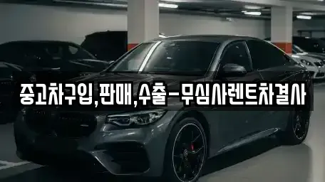 서울특별시 마포구 아현동 중고차매매 전문 중고차구입,판매,수출-무심사렌트차결사