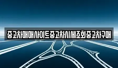 서울특별시 마포구 아현동 중고차매매 전문 중고차매매사이트중고차시세조회중고차구매