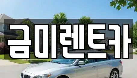 서울특별시 마포구 염리동 렌트카 전문 금미렌트카