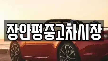 서울특별시 마포구 염리동 중고차매매 전문 장안평중고차시장