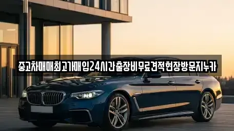 서울특별시 마포구 염리동 중고차매입 전문 중고차매매최고가매입24시간출장비무료견적현장방문지누카