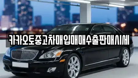 서울특별시 마포구 염리동 중고차매입 전문 카카오토중고차매입매매수출판매시세