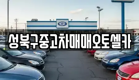 서울특별시 성북구 삼선동2가 중고차매매 전문 성북구중고차매매오토셀카