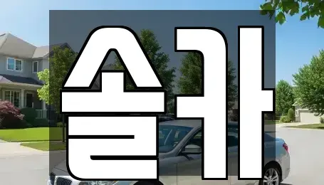 서울특별시 성북구 삼선동2가 중고차매매,단기렌트카,중고차매입,장기렌트카,중고차,렌트카