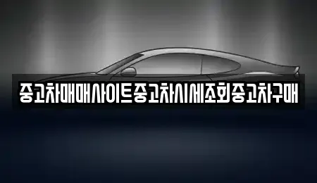 서울특별시 성북구 삼선동2가 중고차매매 전문 중고차매매사이트중고차시세조회중고차구매