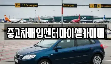 서울특별시 성북구 삼선동2가 중고차매입 전문 중고차매입센터마이셀카매매