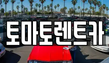 서울특별시 영등포구 당산동1가 렌트카 전문 토마토렌트카