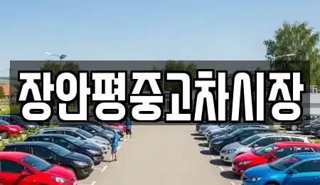 서울특별시 영등포구 당산동1가 중고차 전문 장안평중고차시장