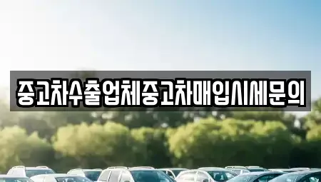 서울특별시 영등포구 당산동1가 중고차매입 전문 중고차수출업체중고차매입시세문의