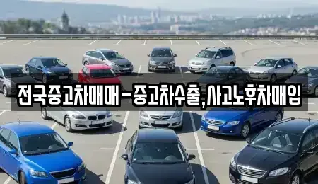 서울특별시 영등포구 문래동4가 중고차 전문 전국중고차매매-중고차수출,사고노후차매입