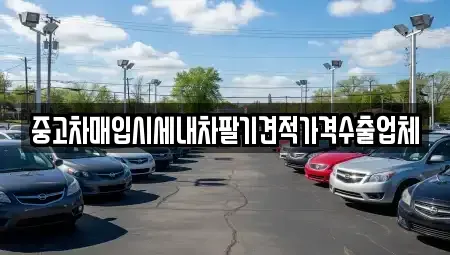 서울특별시 영등포구 문래동4가 중고차매입 전문 중고차매입시세내차팔기견적가격수출업체