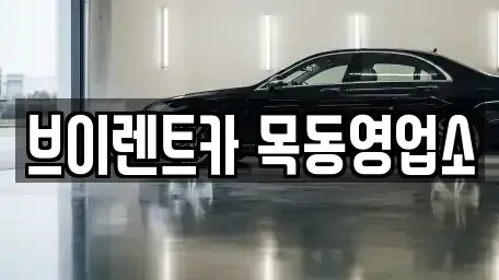서울특별시 영등포구 양평동2가 단기렌트카 전문 브이렌트카 목동영업소