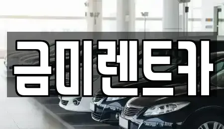 서울특별시 영등포구 양평동2가 렌트카 전문 금미렌트카
