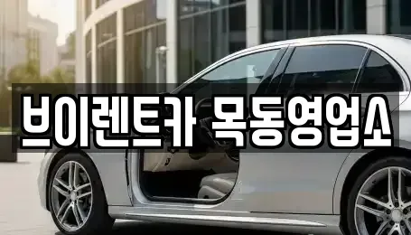 서울특별시 영등포구 양평동3가 장기렌트카 전문 브이렌트카 목동영업소