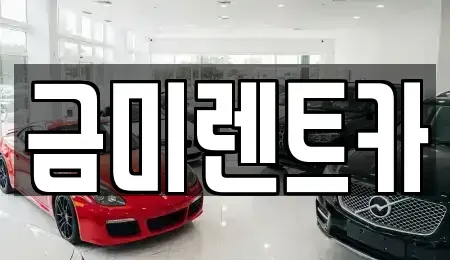 서울특별시 영등포구 양평동5가 렌트카 전문 금미렌트카
