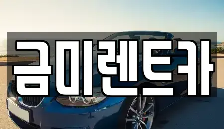 서울특별시 영등포구 영등포동6가 렌트카 전문 금미렌트카